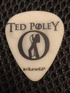 TP GLOW IN THE DARK COLLECTORS GUITAR PICK W AUTOGRAPHED CARD AND FREE SONG DOWNLOAD "SUMMER NIGHTS"!