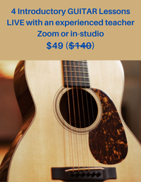 4 Introductory Guitar Lessons LIVE with experienced teacher