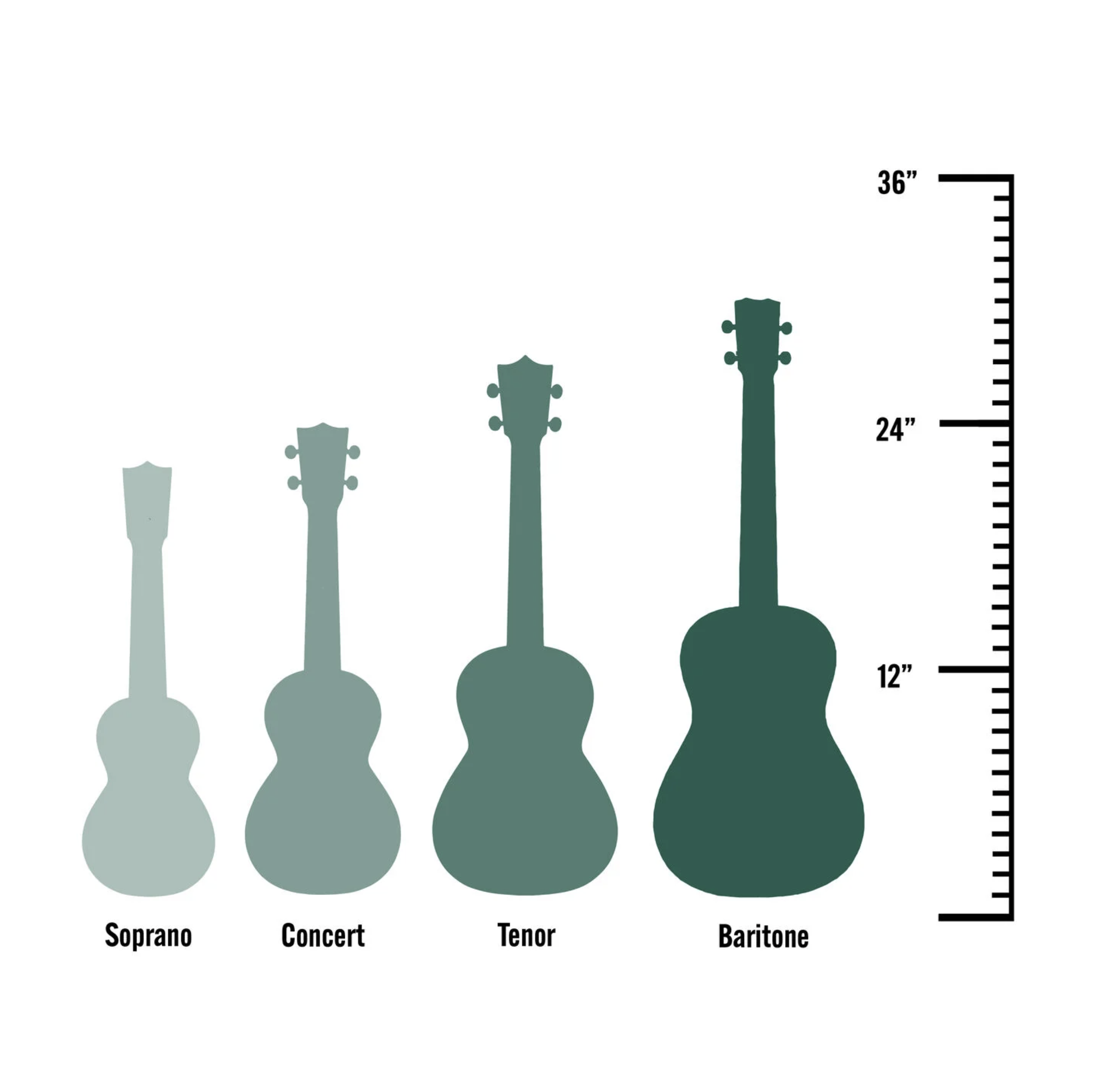 Chart comparing sizes of different ukuleles: soprano, concert, tenor, baritone. Image by Martin Guitar company