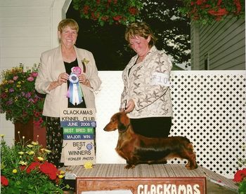 Maggie's first major at the Canby, OR show in June, 2008
