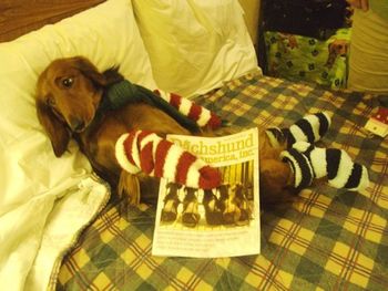 Maggie kicking back and reading the DCA Newsletter.
