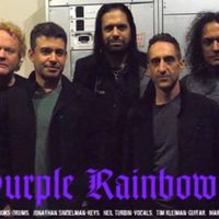Purple Rainbow 'X'