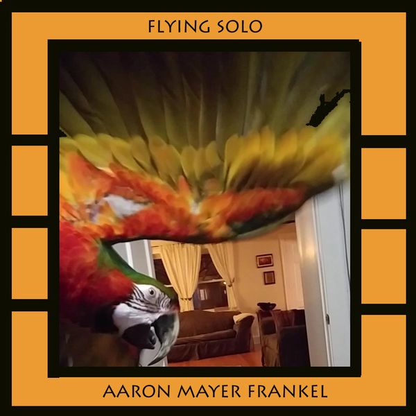 Flying Solo: CD