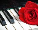 6-Month Piano Package