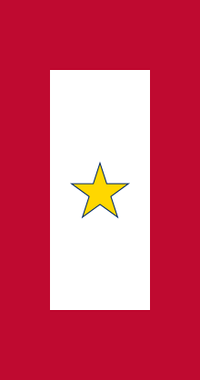 Gold Star Mothers National Convention