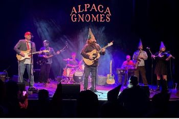 Alpaca Gnomes
