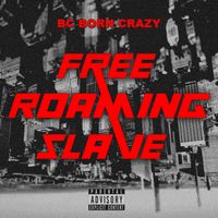 Free Roaming Slave by BC Born Crazy 