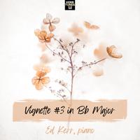 Vignette #3