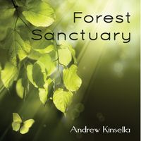 Forest Sanctuary by Andrew Kinsella