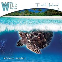 Turtle Island by Medwyn Goodall