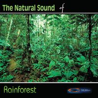 The Rain Forest by Pure Nature