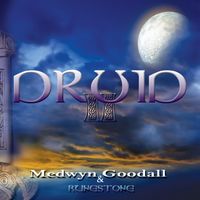 Druid 2 by Medwyn Goodall