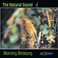 Morning Birdsong by Pure Nature