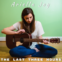 The Last Three Hours by Ariella Joy