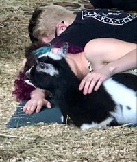 Iowa Goat Yoga Saturday Aug 13th 9:30-10:30am