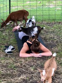 Iowa Goat Yoga (*kids 8 and up)