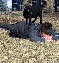 Iowa Goat Yoga Mediation June 3rd 11:00-12:00pm