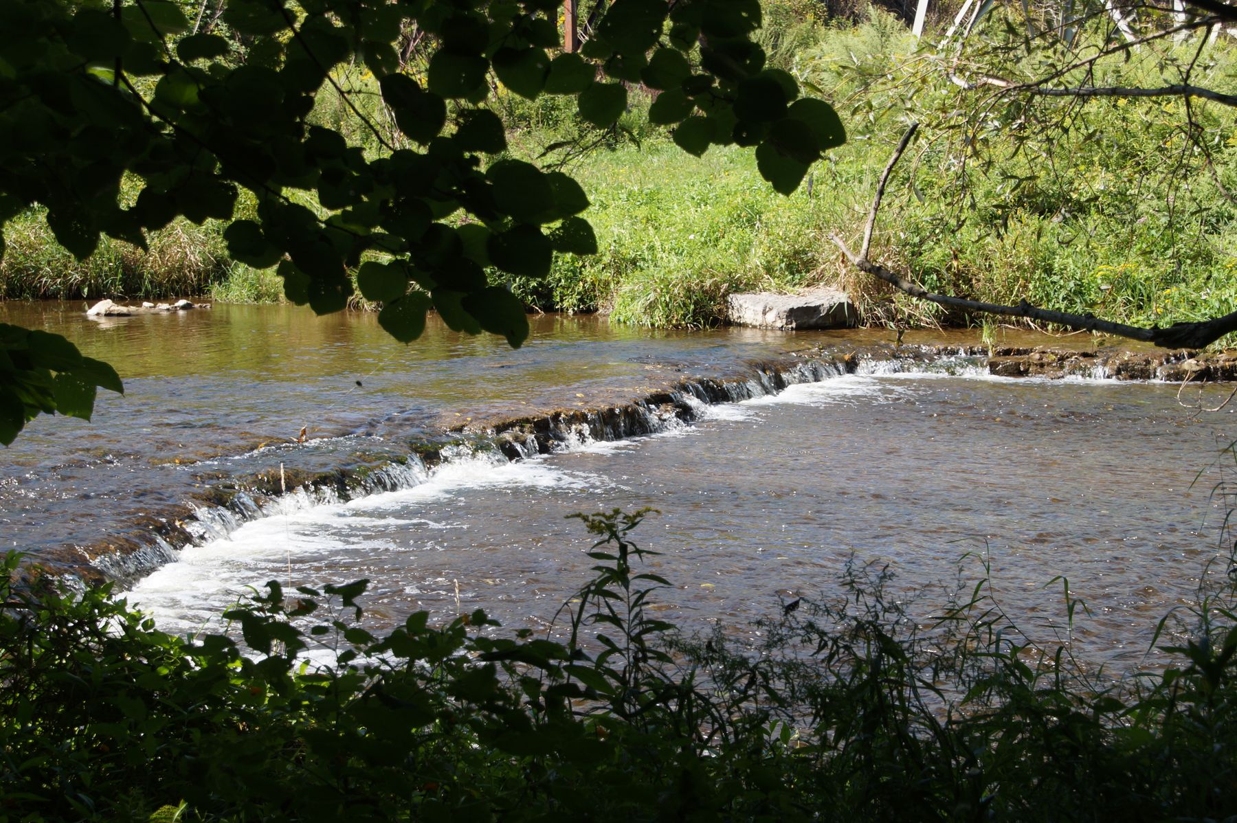 Ontario Pathways