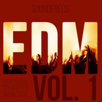 EDM Vol 1 (Massive Presets) by SoundFreqs