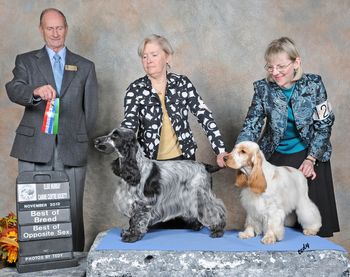 Manny (3 years) and his daughter Snow (9 months) awarded Best of Breed and Best of Opposite Sex
