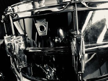 Ludwig Black Beauty
