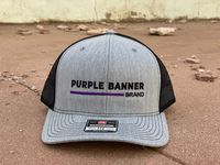 Purple Banner Standard