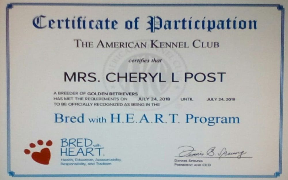 Moonlit Meadows Golden Retrievers About Us