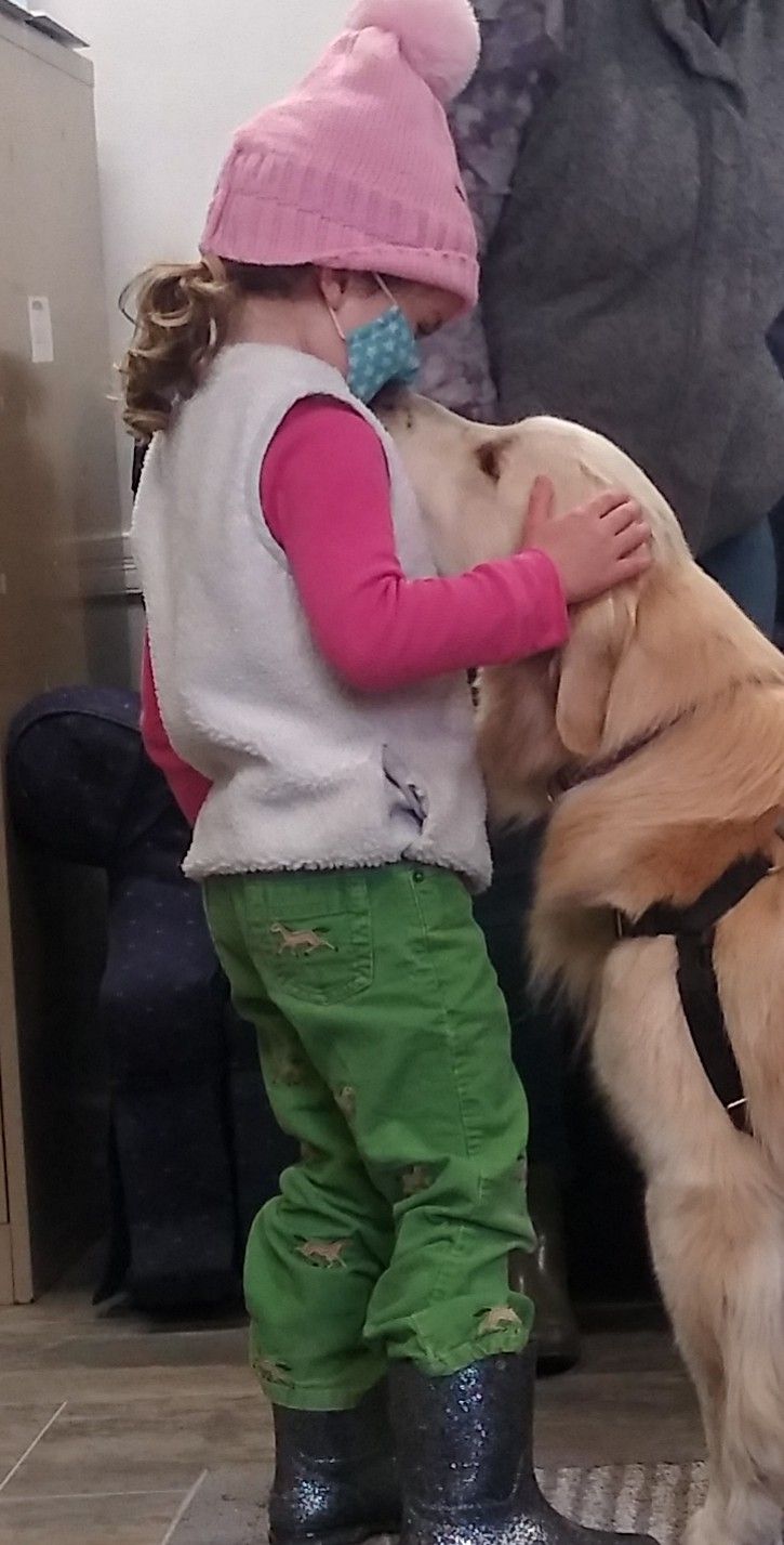 Moonlit Meadows Golden Retrievers Pet Therapy