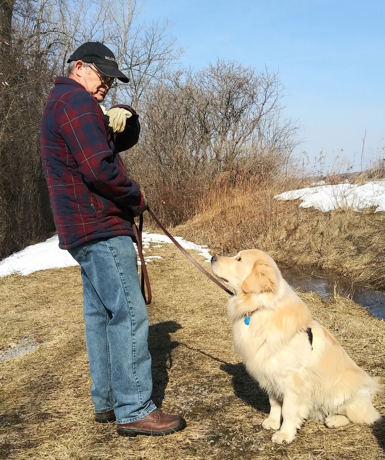 Moonlit Meadows Golden Retrievers Marshall