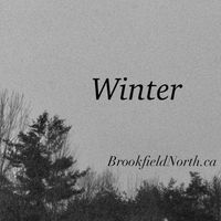 Winter by Brookfield North