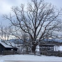 New Song Demos by Jeff Mamett