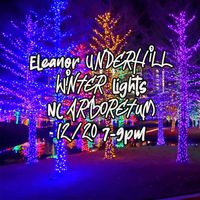 Eleanor Underhill at Winter Lights