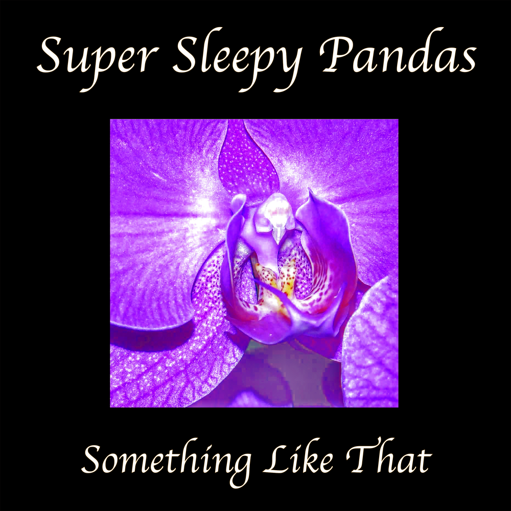 Super Sleepy Pandas - Something Like That