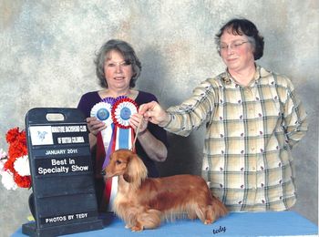 AKC/CKC CH Wyndox Delightfully Captivating ML - Dam of Wyndox Black Tie Affair

