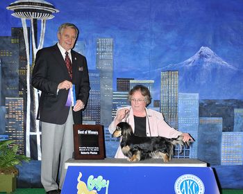Wyndox Black Tie Affair ML winning at the Seattle Kennel Club in 2013
