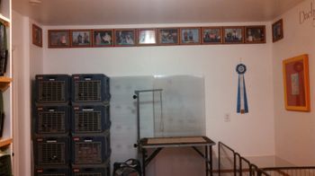 Pleanty of grooming space and room for guests
