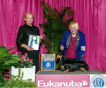 GCH Wyndox Positively Captivating ML @ Euranuba winning an Award of Excellence
