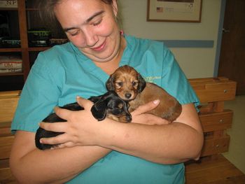 GiGi visiting her veterinarian with her sister Liesel
