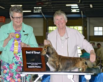 "TJ" winning Best of Variety out of the classes at Puyallup in June 2015

