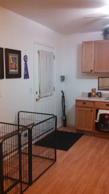 View of door leading to kennel runs and fenced grass yard
