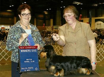CH Wyndox Positively Captivating ML - Championship finished under Judge Pamela Peat at the Seattle KC
