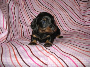 KATIE - Such a cutie pie
