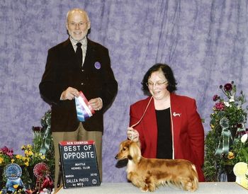 GCH Wyndox Delightfully Captivating ML (GiGi)
