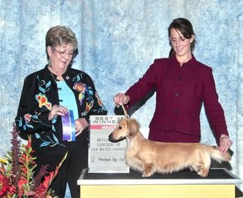 Teckelwood Houdini V Wyndox ML - First Major & Best Of Winners - Skyline Fanciers Of San Mateo County
