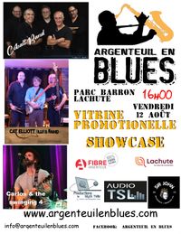 Cobalt blues band au Festival Argenteuil en blues