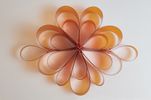 Orange Daisy Mini 
