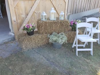 Hay Bales/ Chairs
