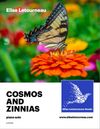 Cosmos and Zinnias