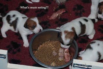 What's Mum eating?
