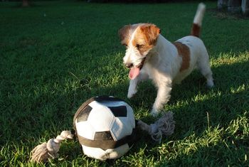 Common...throw the ball!
